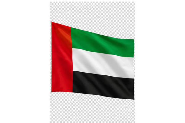 Flag of United Arab Emirates